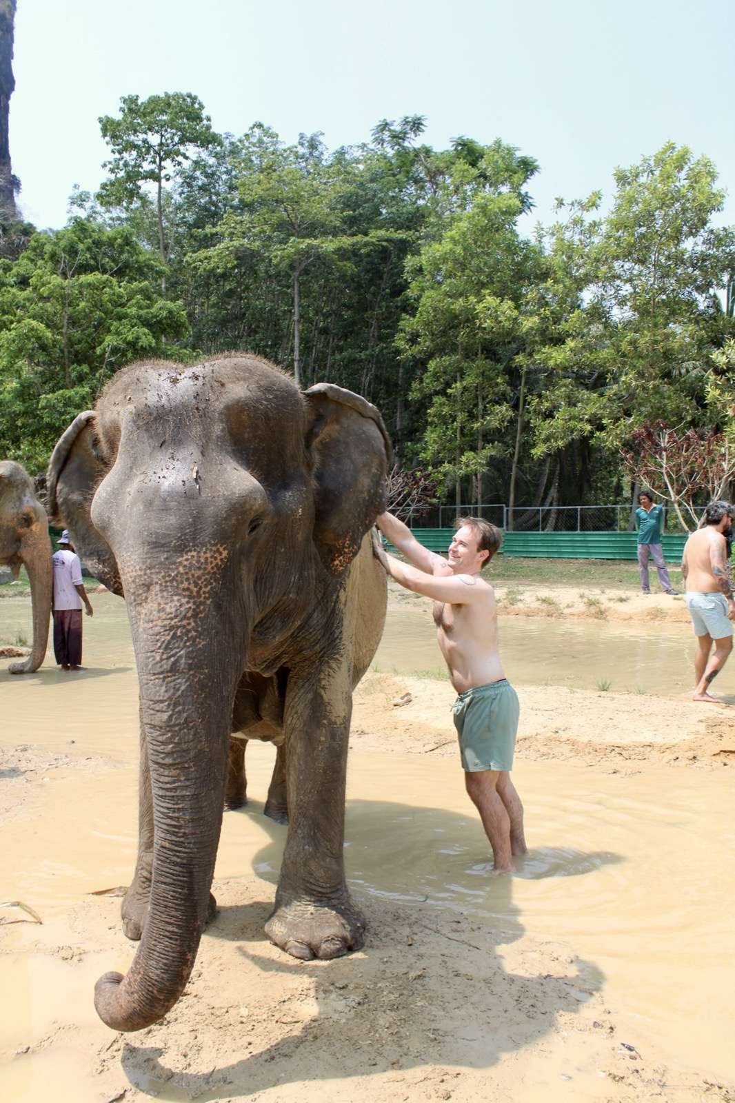 Elephant sanctuary